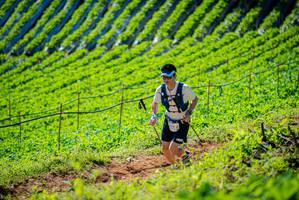 BIB: 
                            <button type="button" onclick="openModal(19161600)" class="btn btn-primary btn-sm float-right btn-popup" data-toggle="modal" data-target=".modal-high-quality">
                        <i class="fas fa-shopping-cart"></i> Add to Cart
                    </button>
                                            <button type="button" onclick="isThisMe(19161600, true)" class="btn btn-success btn-sm float-right btn-popup btn-isme hidden" data-toggle="tooltip" data-placement="bottom" title="นี่คือรูปของคุณใช่ไหม คลิกที่นี่เพื่อเอาเข้าอัลบั้ม">
                        <i class="fas fa-plus"></i> Add to album
                    </button>
                    <button type="button" onclick="isThisMe(19161600, false)" class="btn btn-warning btn-sm float-right btn-popup btn-isnotme hidden">
                        <i class="fas fa-ban"></i> Remove from album
                    </button>